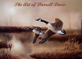 darrell davis wildlife enlarge below click